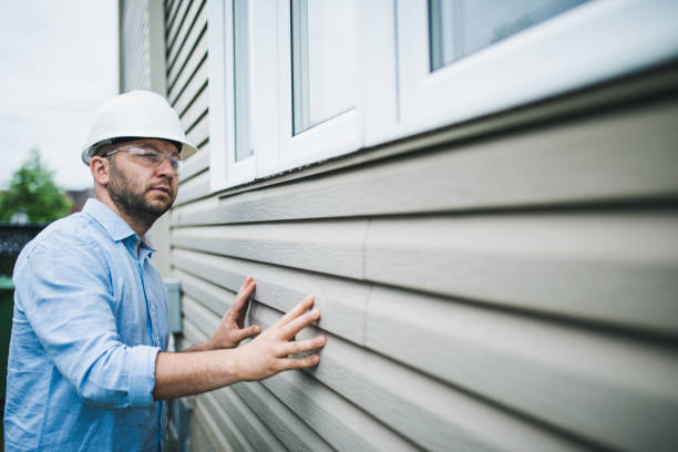 Best Stone Veneer Siding  in Rosita, TX